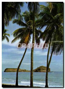 Modern Postcard Martinique Sainte Marie Islet of St. Mary