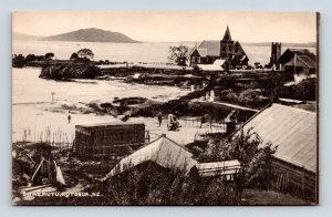 Chinemutu Village Rotorua New Zealand NZ UNP DB Postcard B16