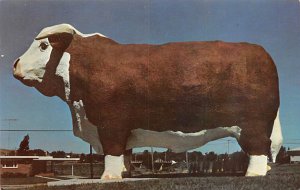 Albert, World's Largest Bull Audubon, Iowa  