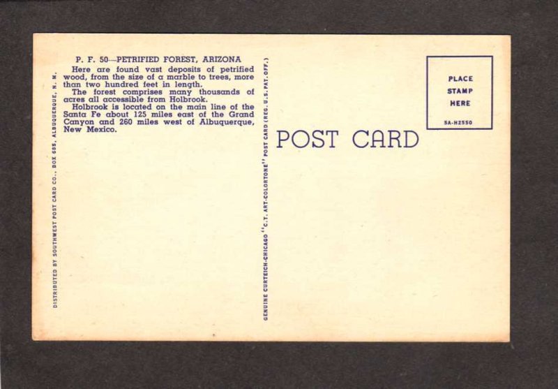 AZ Petrified Forest Trees Holbrook Arizona Postcard Linen PC