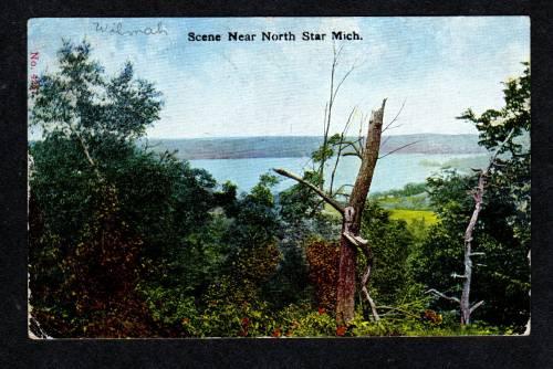 MI 1900's View NORTH STAR MICHIGAN Postcard Post Card