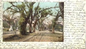 Bonaventure Cemetery - Savannah, Georgia GA  