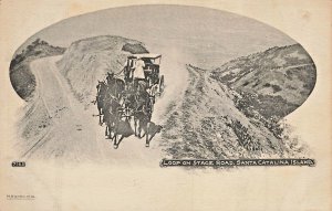 Santa Catalina Island California CA~Loop on Stage Road~1900s Photo Postcard