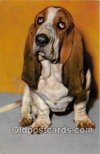 Basset Hounds Alfred Mainzer, Inc Dog Unused 