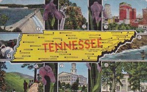 Tennessee Greetings From Tennessee 1953