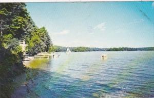 Maine Great East Lake Shore Scene 1973