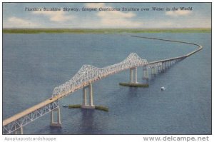 Floridas Sunshine Skyway Longest Continuous Structure Over Water In the World...