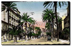 Old Postcard Hyeres Les Palmiers Avenue Gambetta