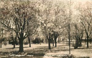 15th Street Park Douglas Arizona 1943 RPPC real photo postcard Cook 6716