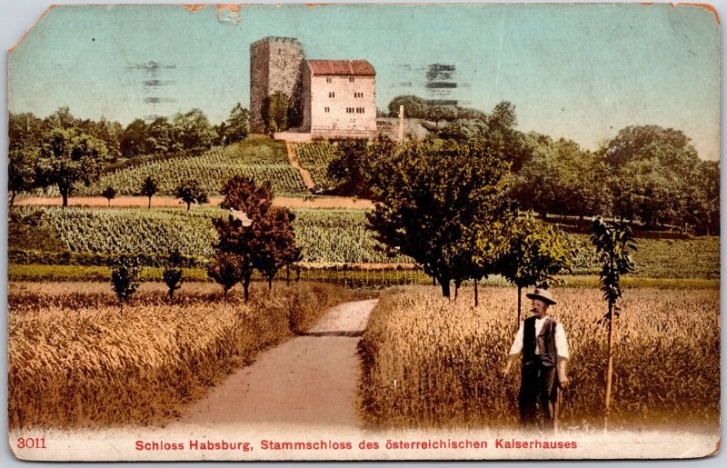 1937 Schloss Habsburg Stammschloss des Osterreichischen Switzerland Postcard