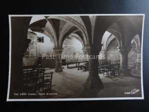 Yorkshire YORK MINSTER Collection x 7 - Old RP Postcard by Walter Scott