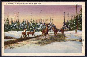 Deer,Winter Scene,Rhinelander,WI