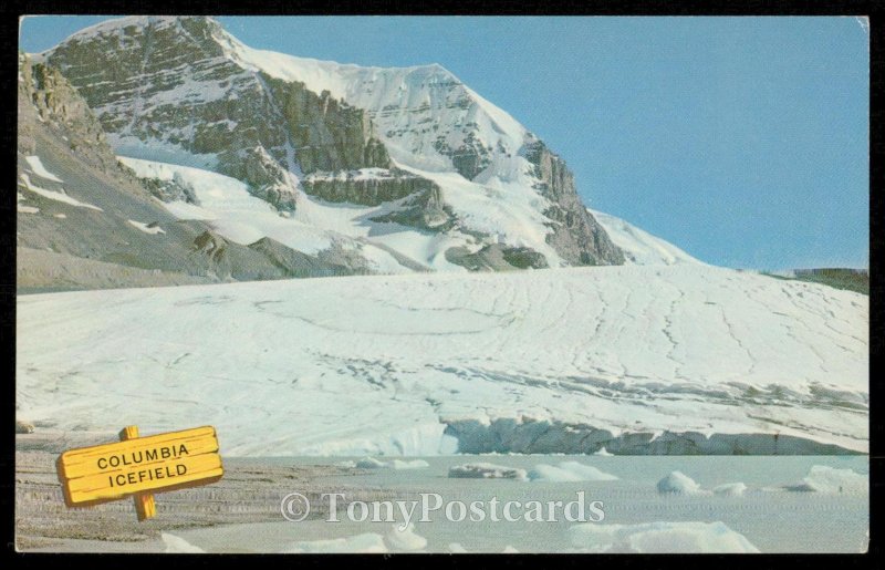 The Columbia Icefields