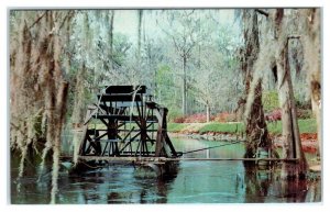 ORANGEBURG, SC South Carolina ~ WATER WHEEL Edisto Gardens c1960s  Postcard