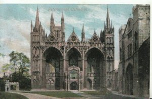 Cambridgeshire Postcard - Peterborough Cathedral - Cambridge - Ref TZ1883