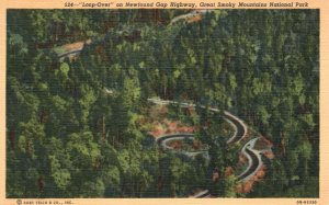 Vintage Postcard 1930's Newfound Gap Highway Great Smoky Mountains National Park