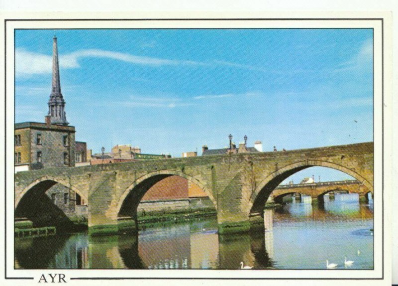 Scotland Postcard - Auld Brig and New Bridge - Ayrshire - Ref TZ8193