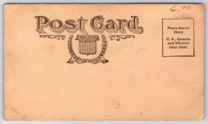 Neligh Nebraska~Antelope County Courthouse~Homes~c1905 B&W E Wolfe Postcard