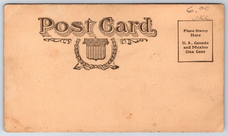 Neligh Nebraska~Antelope County Courthouse~Homes~c1905 B&W E Wolfe Postcard