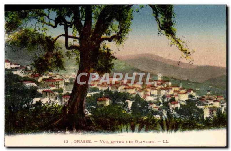 Old Postcard View Between Grasse Les Oliviers