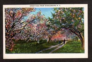 NY Greetings from MIDDLEBURG NEW YORK Postcard PC