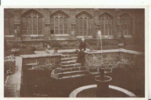 Cheshire Postcard - Chester Cathedral - The Cloister Garth - Ref 14677A