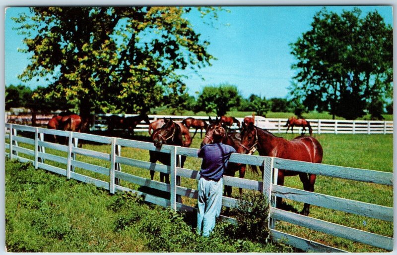 1955 Near Lexington, KY Blue Grass Horse Farm Cute Girl White Picket Fence A239