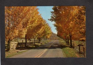 MA Greetings From Ware Mass Massachusetts Postcard Scenic Road View