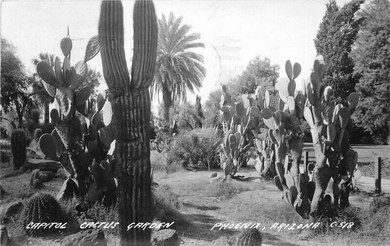 Capitol Cactus Garden Phoenix Arizona #C-518 1944 RPPC Photo Postcard Cook 10404