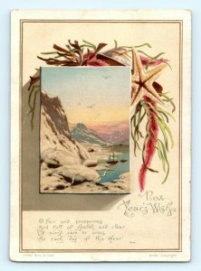 c1880s New Year's Wish Greeting Trade Card Seashore Glitter Wirth Owen C23