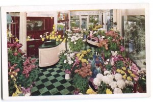 Postcard Edgewater Beach Hotel Flower Shop Chicago IL