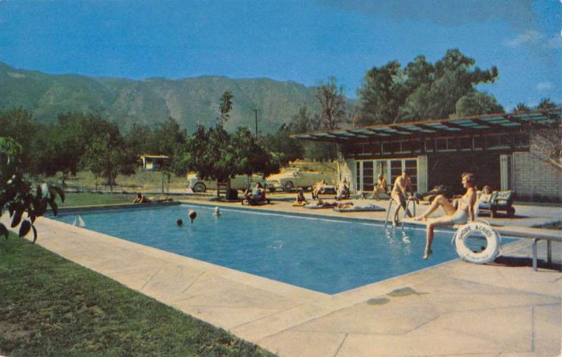 Lake Elsinore California Shore Acres Lodge Pool View Vintage Postcard K87210