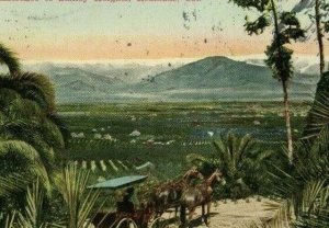 Postcard 1913 View- Horse Carriage on Entrance to Smiley Heights,Redlands, CA.T8