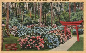 Vintage Postcard The Oriental Gardens Beauty Spot San Jose Jacksonville Florida