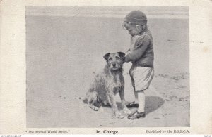 Dog & Boy on Beach , 00-10s