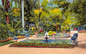 The Lily Pond Hope Gardens Jamaica Unused 