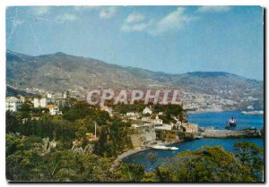 Modern Postcard Savoy Hotel Funchal Madeira