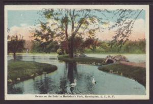 Swans,Hecksher's Park,Huntington,Long Island,NY Postcard 
