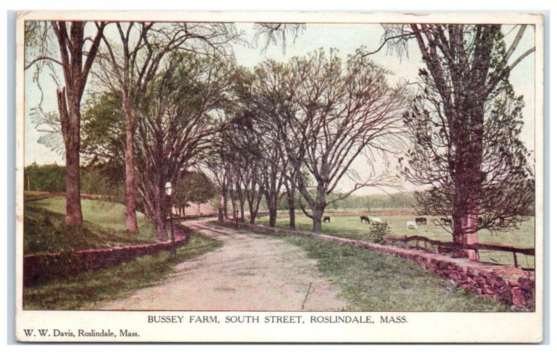 Early 1900s Bussey Farm, South Street, Roslindale, MA Postcard