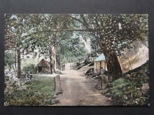 Inverness-shire: In Glen Nevis near Fort William c1906