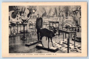 Warren New Hampshire NH Postcard African Gerenuk Sititnuga Morse Museum c1905