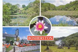 Wales Postcard - The Lily Pools & Ye Olde Worlde Cafe - Bosherston Pembs  AB2328