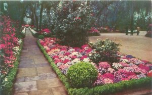 Mobile Alabama Bellingrath Gardens Azaleas Chrome Unused