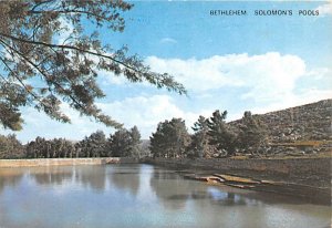 Solomon's Pool Bethlehem Unused 