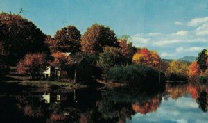 Canada Greetings from Neerlandia Alberta Vintage Postcard 07.71