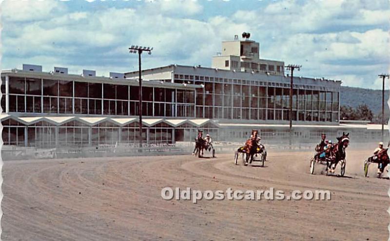 The Trotters Hinsdale, New Hampshire, NH, USA Horse Racing Unused 