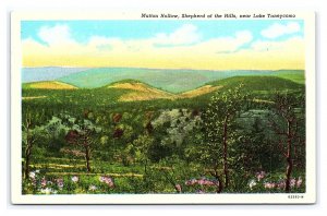 Mutton Hollow Shepherd Of The Hills Near Lake Taneycomo Missouri Postcard