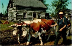 Canada Ontario Upper Canada Village Farmer Ploughing With Oxen