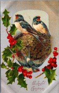 Postcard Christmas  birds in nest with holly and berries