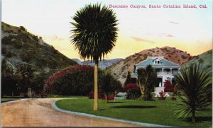 Descanso Canyon Santa Catalina Island California Vintage Postcard C095